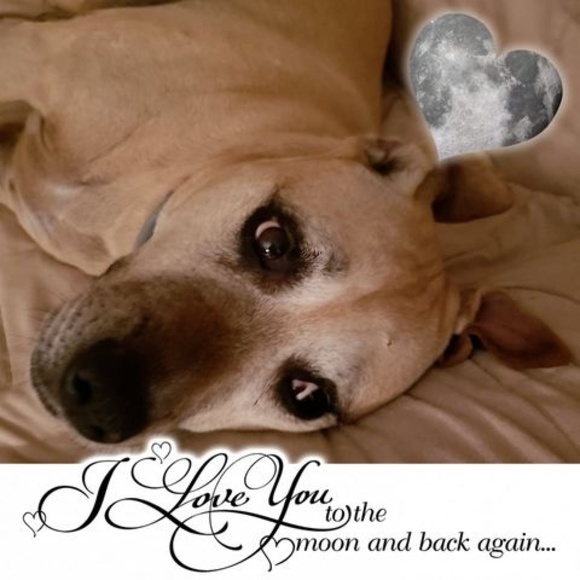 Meet your Posher, Sharon - Picture 1 of 1